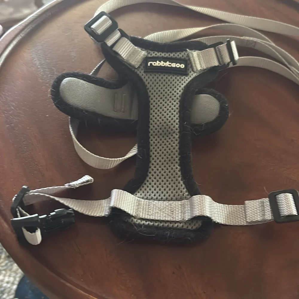 ❤️3 for $15!❤️ rabbitgoo Cat Harness and Leash Set, Escape Proof Soft XXS
